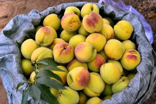 携手助农，我们一直在路上！